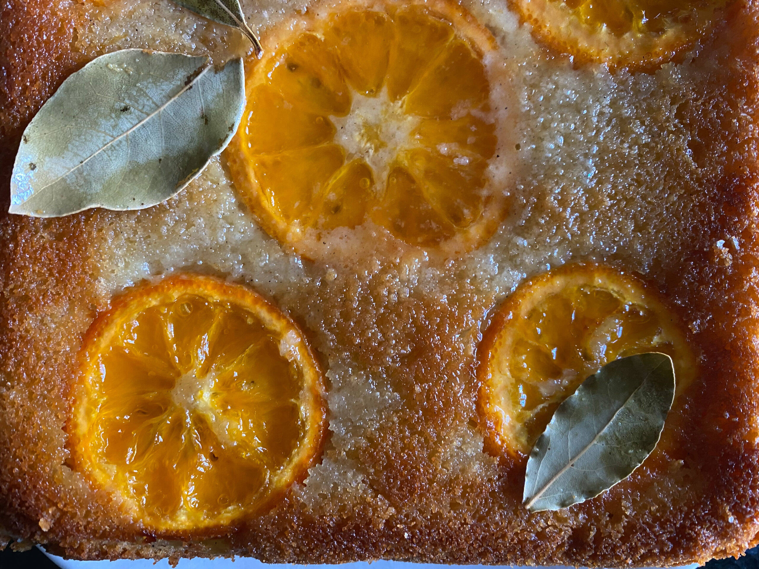 organic SEMOLINA CAKE with CLEMENTINE & CARDAMOM and Bay Leaf Syrup, Candice Hunsinger, organic recipes, organic baker, a life made from scratch organic